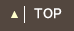 ページトップ